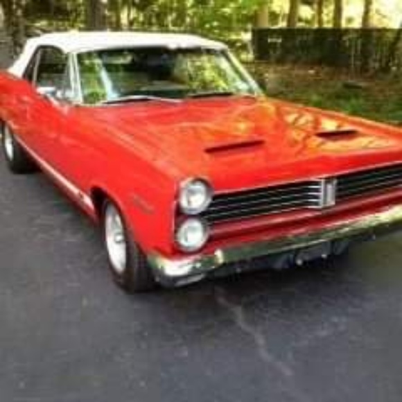 Meet your Posher, Dawn - Picture 5 of 5